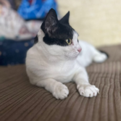 Narla