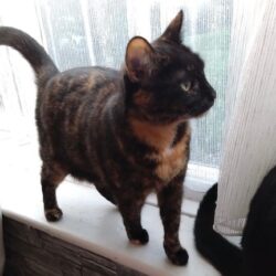 Mia