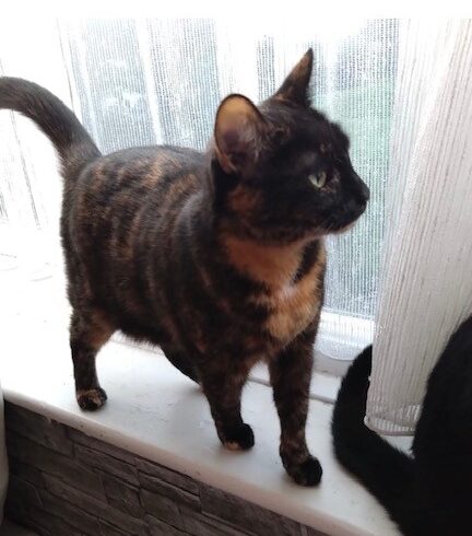 Mia