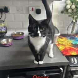 Oscar
