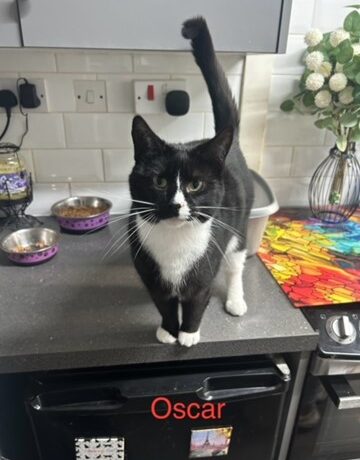 Oscar